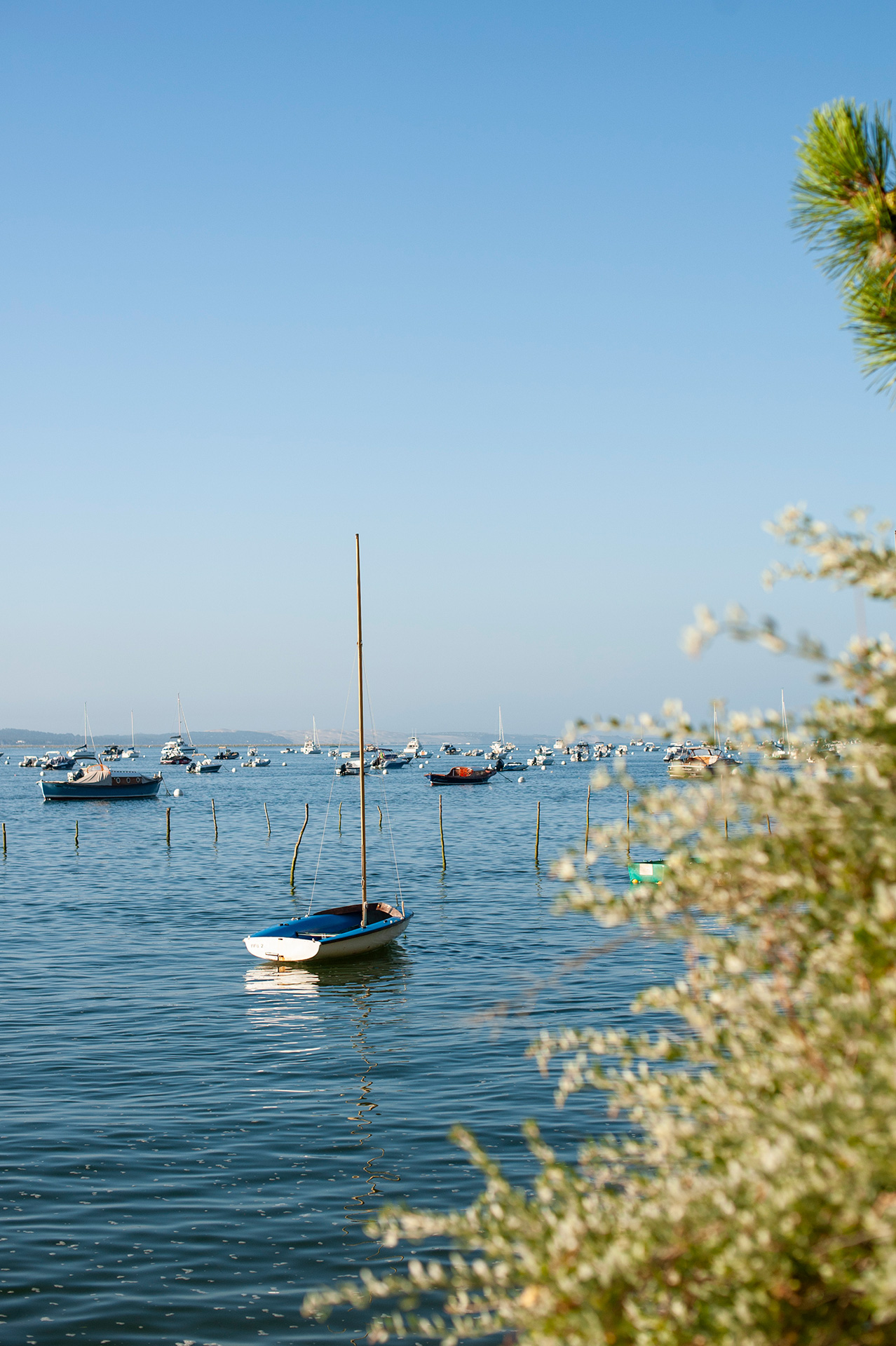 Conciergerie au Cap Ferret